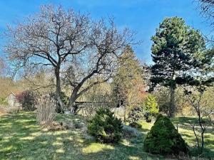 Prodej rodinného domu, Chanovice, 95 m2