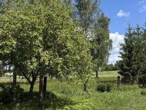 Prodej bytu 3+1, Štíty - Březná, 58 m2