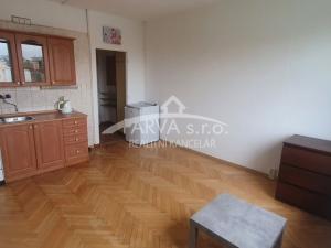 Pronájem bytu 1+kk, Plzeň - Lobzy, Těšínská, 20 m2