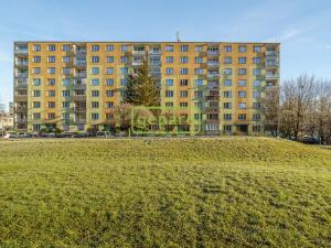Pronájem bytu 1+kk, Chodov, Jiráskova, 19 m2