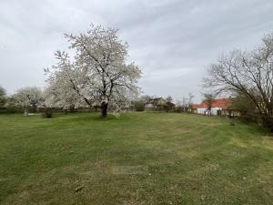 Prodej pozemku pro bydlení, Albrechtice nad Vltavou - Újezd, 650 m2