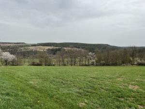 Prodej pozemku pro bydlení, Albrechtice nad Vltavou - Újezd, 650 m2