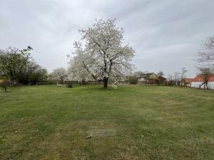 Prodej pozemku pro bydlení, Albrechtice nad Vltavou - Újezd, 650 m2