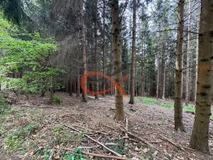 Prodej lesa, Valašské Meziříčí, 7953 m2