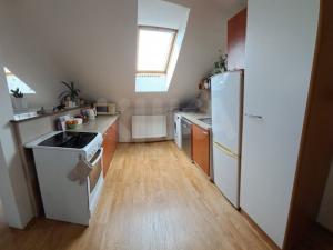 Pronájem bytu 2+kk, Plzeň - Jižní Předměstí, Borská, 49 m2