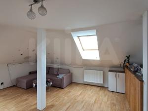 Pronájem bytu 2+kk, Plzeň - Jižní Předměstí, Borská, 49 m2