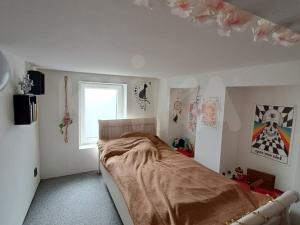 Pronájem bytu 2+kk, Plzeň - Jižní Předměstí, Borská, 49 m2