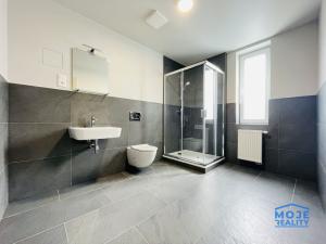 Pronájem bytu 2+kk, Plzeň - Jižní Předměstí, Kotkova, 39 m2