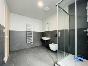 Pronájem bytu 2+kk, Plzeň - Jižní Předměstí, Kotkova, 39 m2