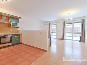 Pronájem bytu 1+kk, Brno, Vodní, 60 m2