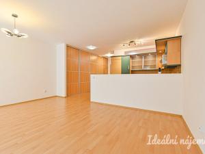 Pronájem bytu 1+kk, Brno, Vodní, 60 m2
