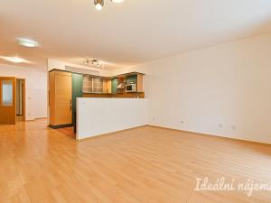 Pronájem bytu 1+kk, Brno, Vodní, 60 m2