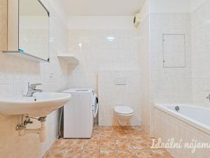 Pronájem bytu 1+kk, Brno, Vodní, 60 m2