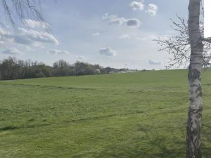 Prodej bytu 4+kk, Nechvalice, 88 m2
