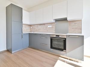 Pronájem bytu 1+kk, Brno, Slatinská, 32 m2