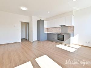 Pronájem bytu 1+kk, Brno, Slatinská, 32 m2