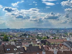 Pronájem bytu 1+kk, Brno, Slatinská, 32 m2