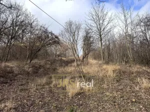 Prodej zahrady, Kroměříž - Zlámanka, 8821 m2