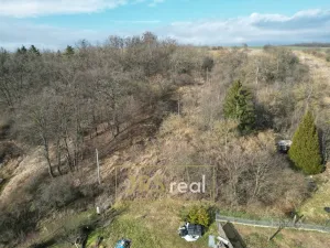 Prodej zahrady, Kroměříž - Zlámanka, 8821 m2