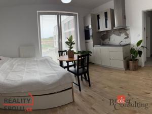 Pronájem bytu 1+kk, Plzeň - Újezd, Diamantová, 30 m2