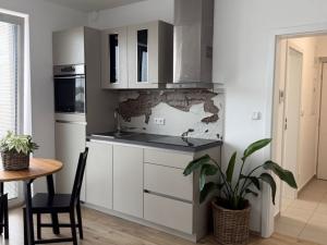 Pronájem bytu 1+kk, Plzeň - Újezd, Diamantová, 30 m2