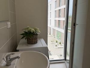 Pronájem bytu 1+kk, Plzeň - Újezd, Diamantová, 30 m2