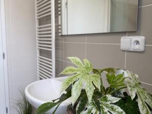 Pronájem bytu 1+kk, Plzeň - Újezd, Diamantová, 30 m2