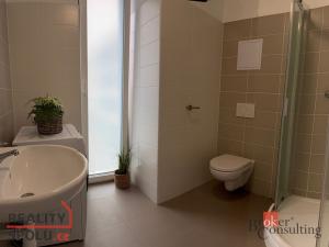 Pronájem bytu 1+kk, Plzeň - Újezd, Diamantová, 30 m2