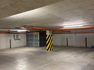 Pronájem bytu 1+kk, Plzeň - Újezd, Diamantová, 30 m2