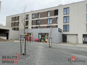 Pronájem bytu 1+kk, Plzeň - Újezd, Diamantová, 30 m2