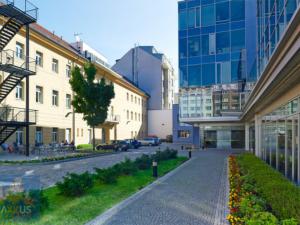 Pronájem kanceláře, Praha - Karlín, Sokolovská, 743 m2