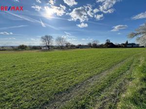 Pronájem zahrady, Tovéř, 808 m2