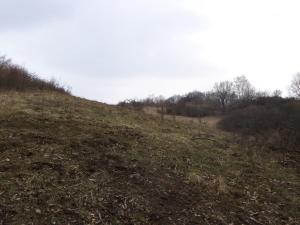 Prodej lesa, Ludkovice, 5834 m2