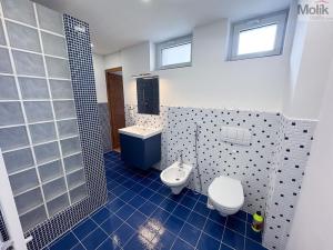 Pronájem bytu 4+1, Teplice, Českobratrská, 128 m2