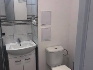 Pronájem bytu 1+kk, Pardubice - Polabiny, kpt. Bartoše, 36 m2