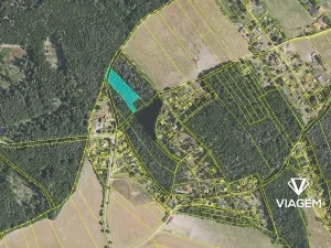 Prodej lesa, Vráž, 2989 m2