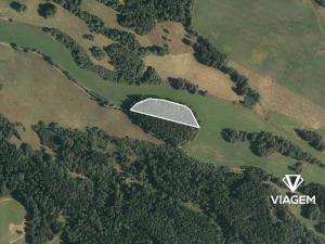 Prodej podílu lesa, Vyšší Brod, 1250 m2
