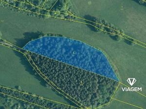 Prodej podílu lesa, Vyšší Brod, 1250 m2