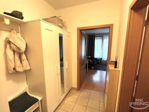 Pronájem bytu 1+kk, Praha - Hloubětín, Nepelova, 45 m2