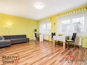 Prodej bytu 1+kk, Plzeň - Severní Předměstí, Sedlecká, 45 m2