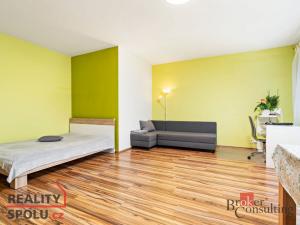 Prodej bytu 1+kk, Plzeň - Severní Předměstí, Sedlecká, 45 m2