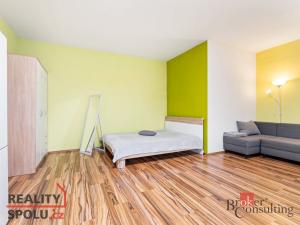 Prodej bytu 1+kk, Plzeň - Severní Předměstí, Sedlecká, 45 m2