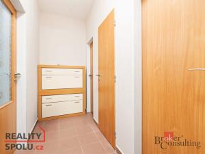 Prodej bytu 1+kk, Plzeň - Severní Předměstí, Sedlecká, 45 m2