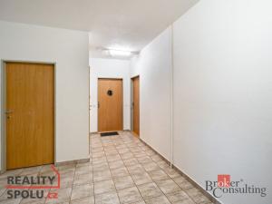 Prodej bytu 1+kk, Plzeň - Severní Předměstí, Sedlecká, 45 m2