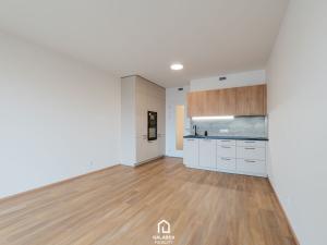Pronájem bytu 1+kk, Praha - Hloubětín, Poděbradská, 32 m2