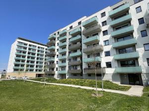 Pronájem bytu 1+kk, České Budějovice - České Budějovice 2, Na Zlaté stoce, 36 m2