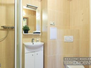 Pronájem bytu 1+kk, Pardubice - Polabiny, Okrajová, 27 m2