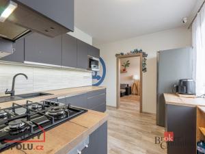 Prodej bytu 3+1, Plzeň - Severní Předměstí, Brněnská, 78 m2