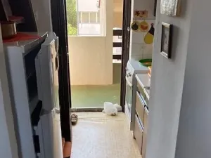 Prodej bytu 2+kk, Červar Porat, Chorvatsko, 38 m2