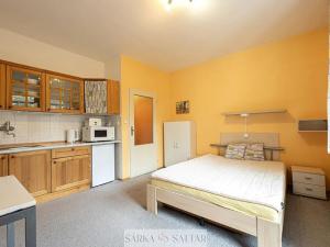 Prodej bytu 1+kk, Harrachov, 26 m2